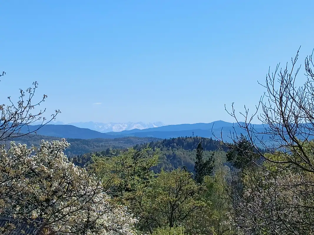 Widok na Tatry Łopuszne Zachodnie