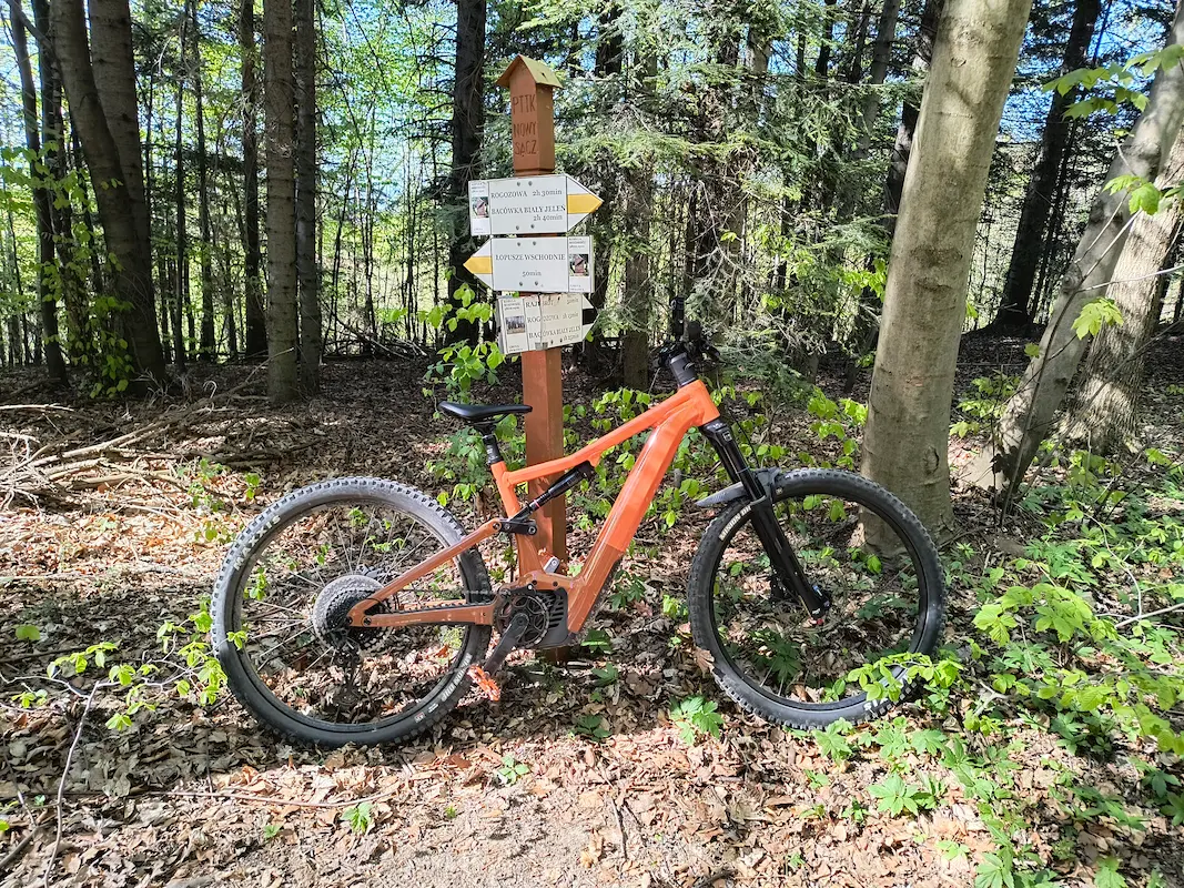 Rower elektrycnzy MTB w Lesie