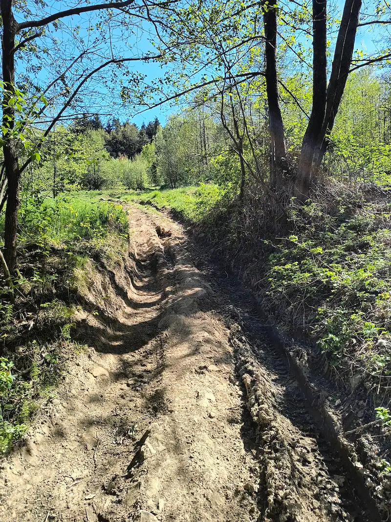 Podjazd Żegocina MTB challenge